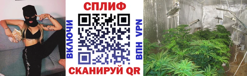 Все наркотики Нестеров ТГК  COCAIN  Псилоцибиновые грибы  Конопля  ГАШИШ  Мефедрон  АМФЕТАМИН  A PVP 