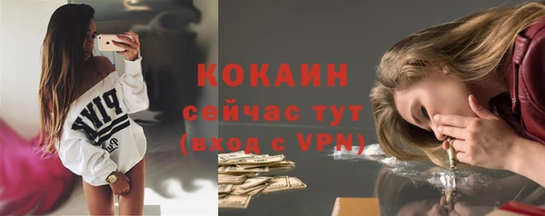 Альфа ПВП Богородицк