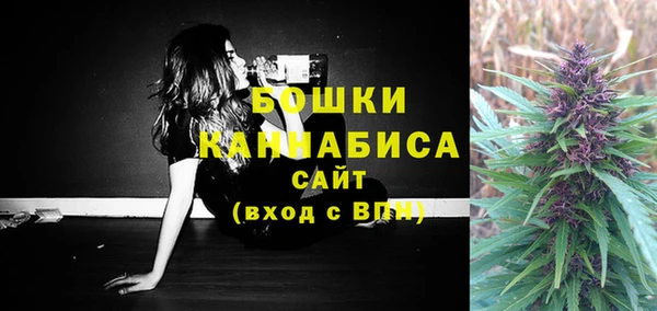 бошки Богданович