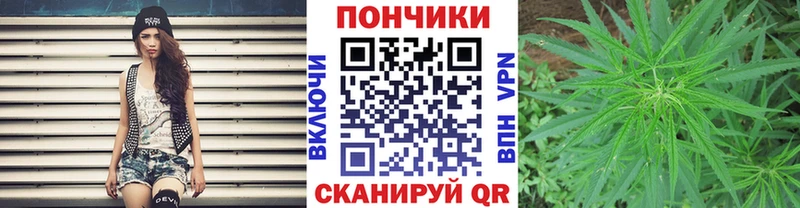 цена   Нестеров  Каннабис THC 21% 